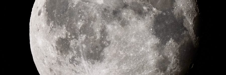 Tamron’s 150-500mm in practice on the Fujifilm X system